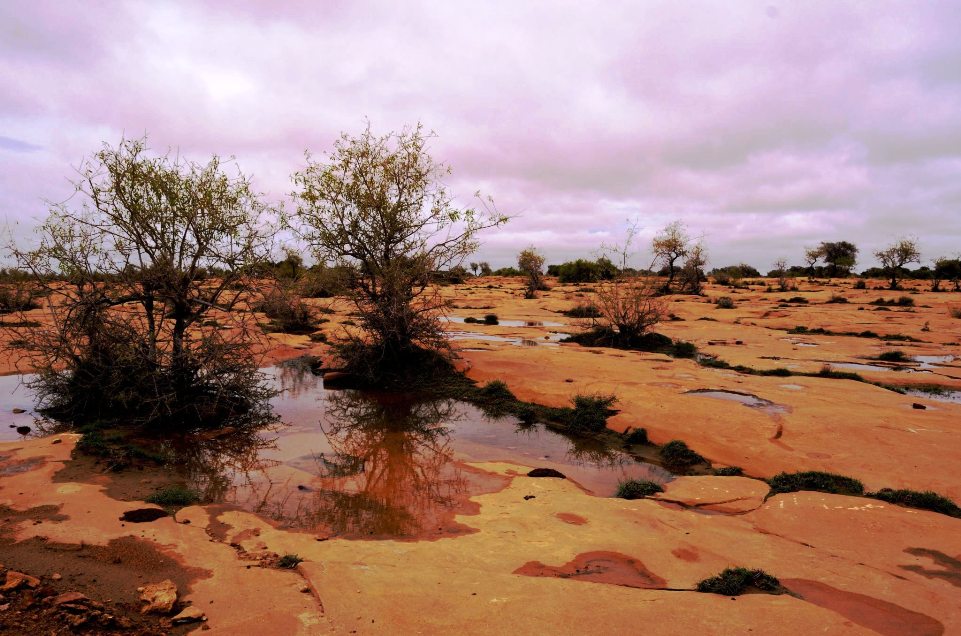 DS Group: Conserving the elixir of life