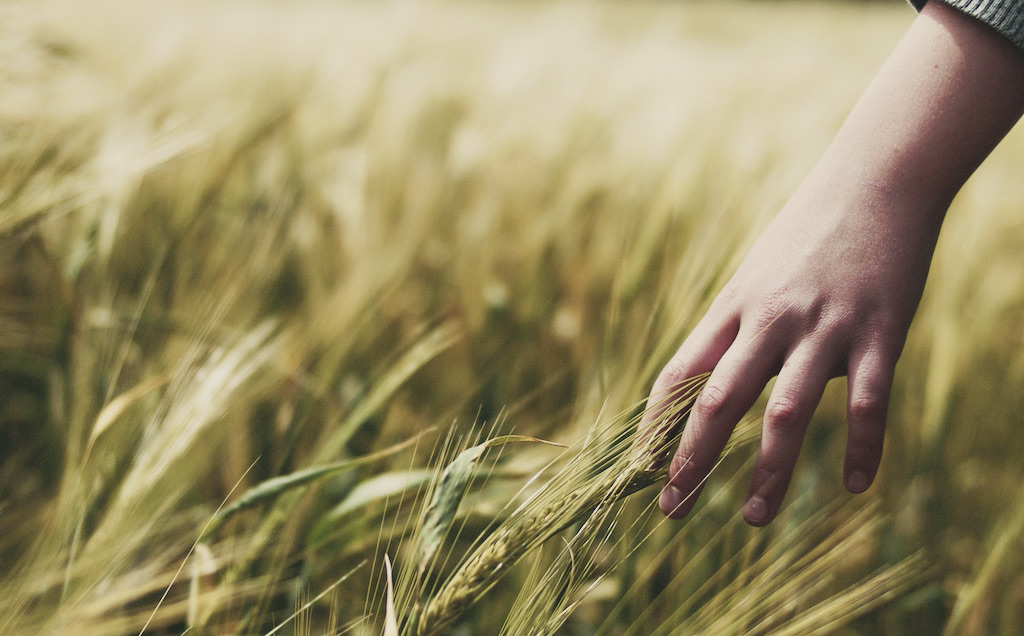 Sustainable Living and Working: The Ideas Series  – Ramji Raghavan, Agastya International Foundation