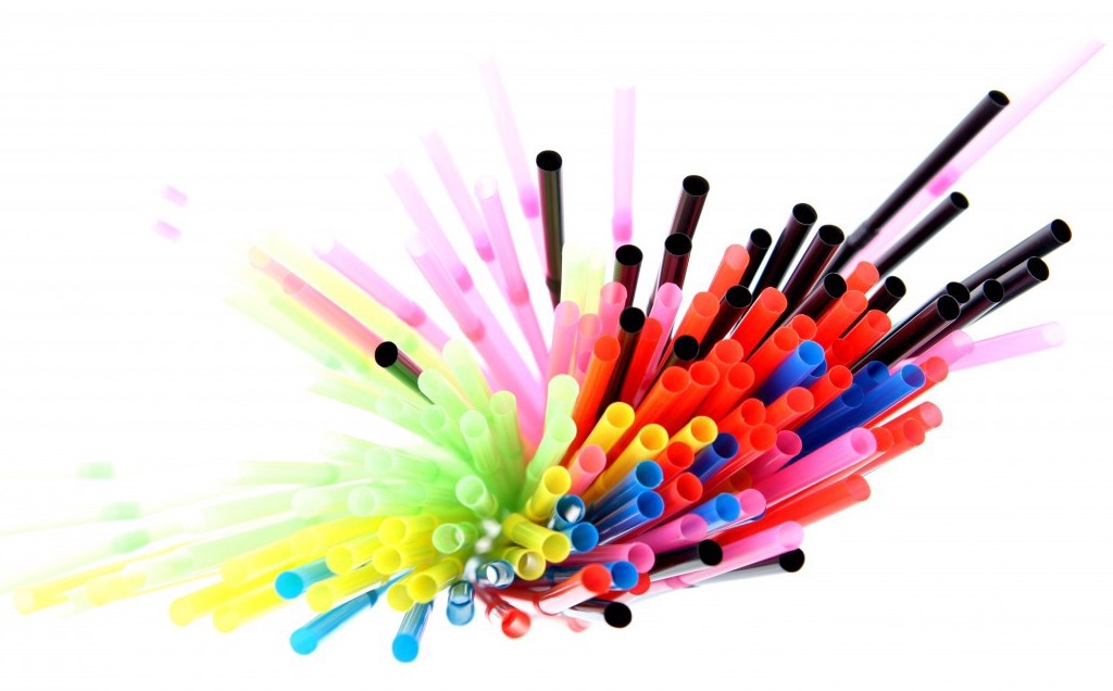 Sustainable Living and Working: The Ideas Series  – Rashmi Soni, Vistara