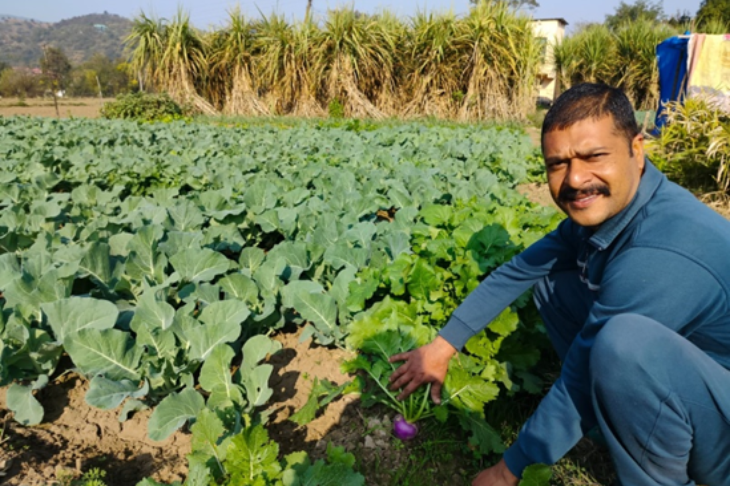 Adani Foundation at ACC Gagal boosts vegetable farming with improved water access for irrigation
