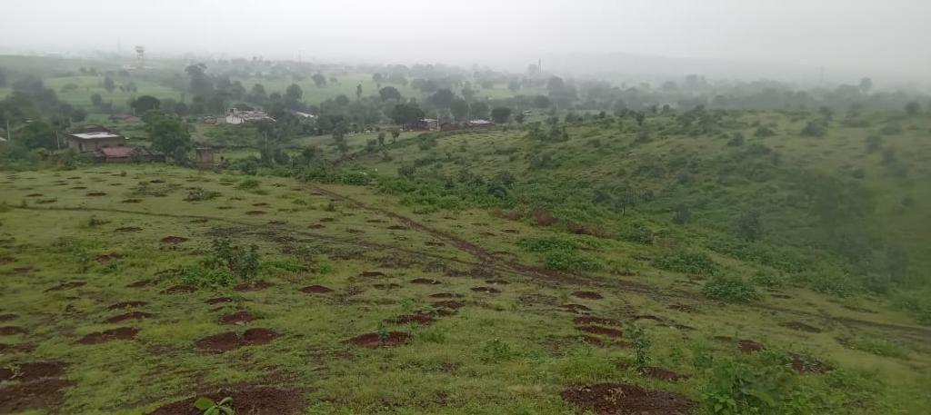 Rooting Change: Axis Bank’s Push for Greener Landscapes Across India