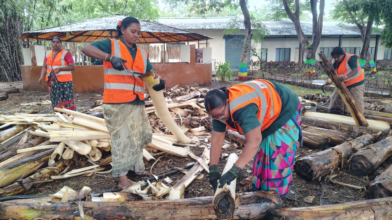 UltraTech’s Project Turns Banana Waste into Livelihoods in Andhra Pradesh