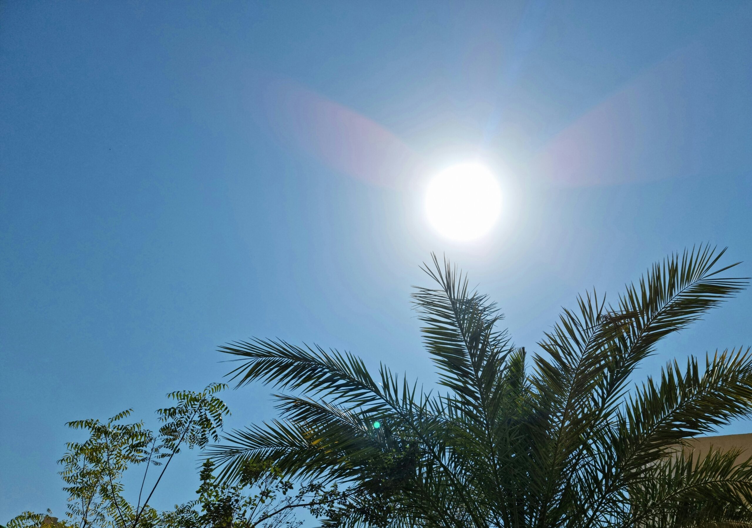 Young Earth Heroes: Stakeholders’ Consultation on Heat Wave Action Plan